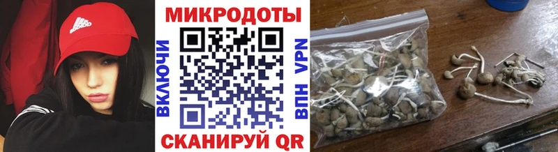 Псилоцибиновые грибы MAGIC MUSHROOMS  наркота  Заозёрный 